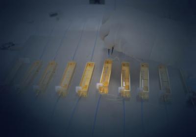 Optical modulators