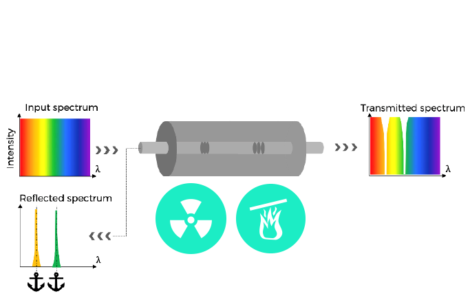 Exail radiation hardened fbg for sensing and filtering applications