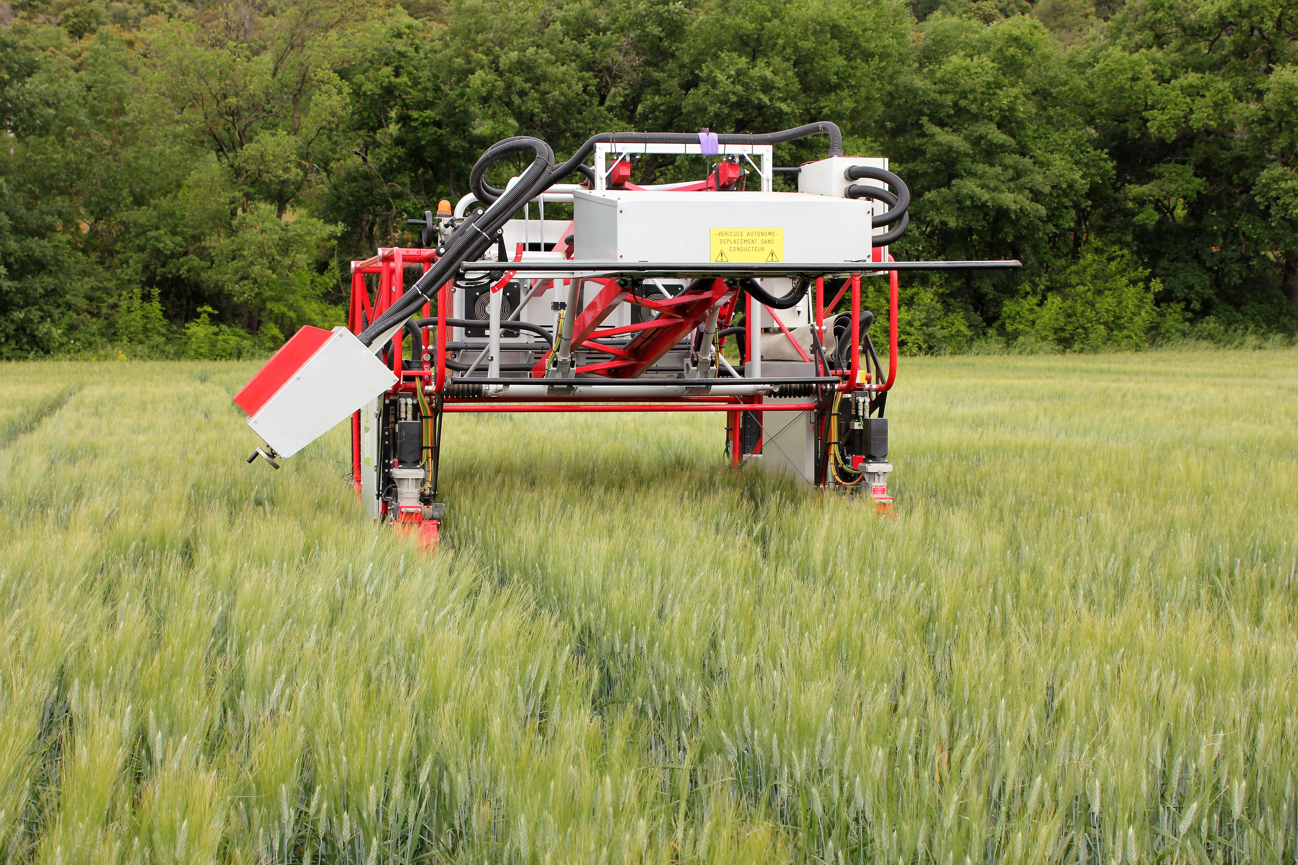 Enjambeur autonome pour des acquisitions au-dessus des cultures basses comme le blé