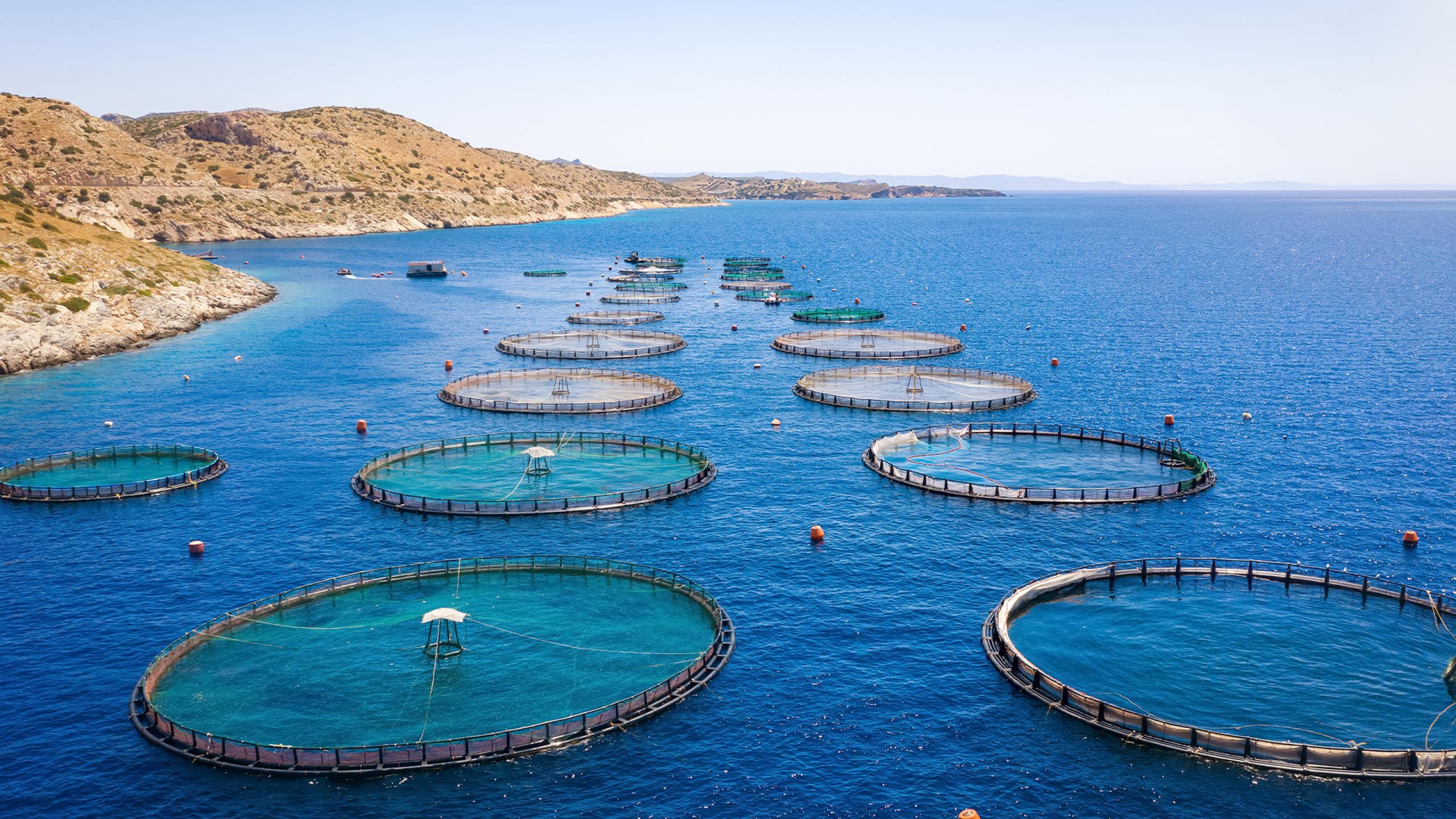 Exail header tuna seining for fishery